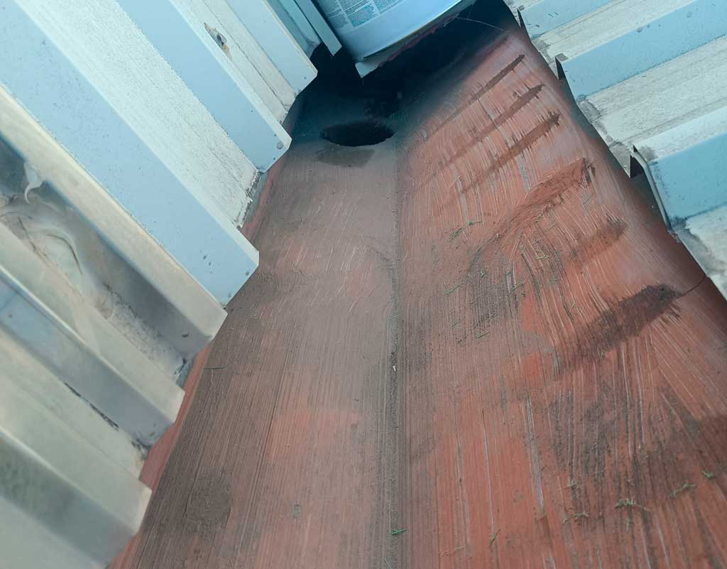 Limpieza de canalones y bajantes